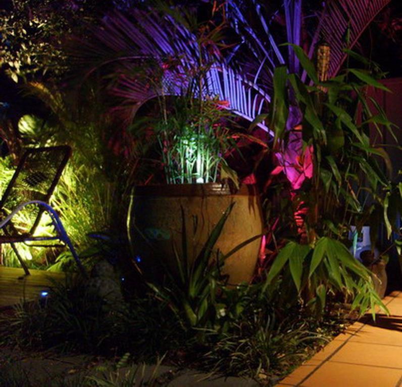 Tantarra Guest House - Pet Friendly Warners Bay Exterior photo