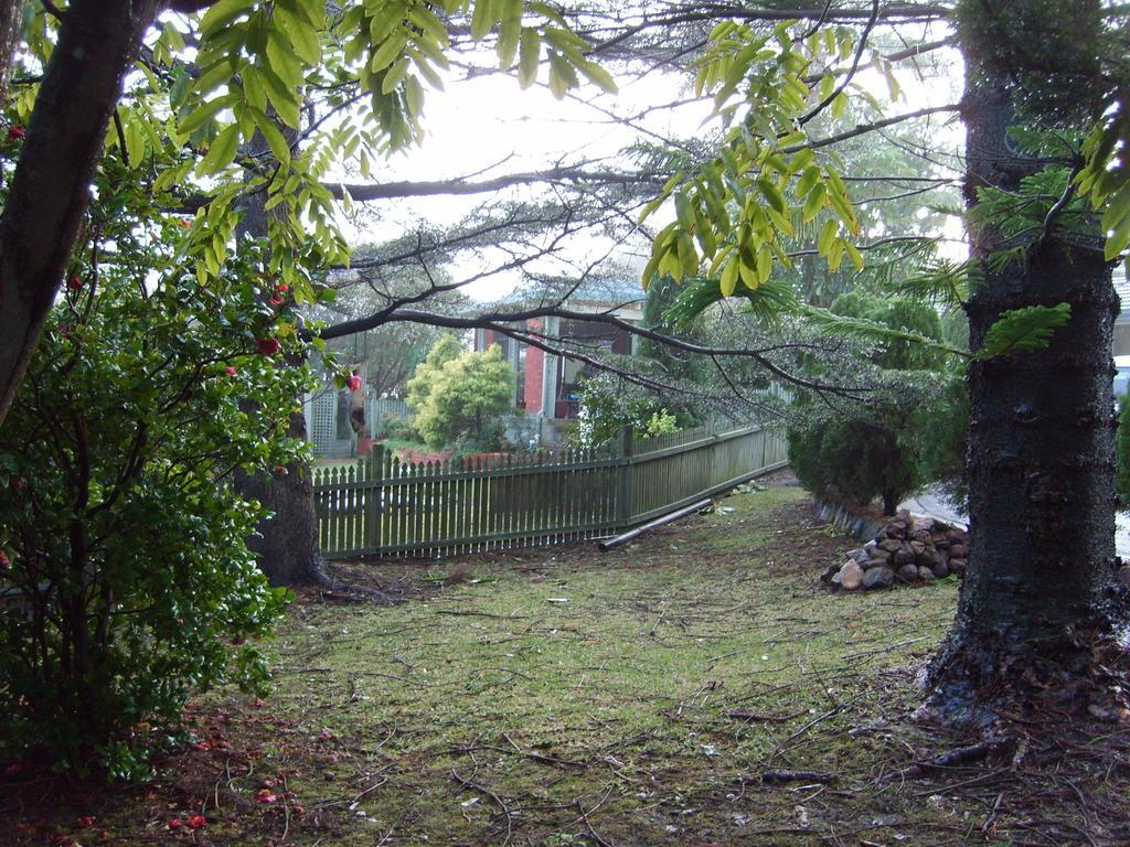 Tantarra Guest House - Pet Friendly Warners Bay Exterior photo
