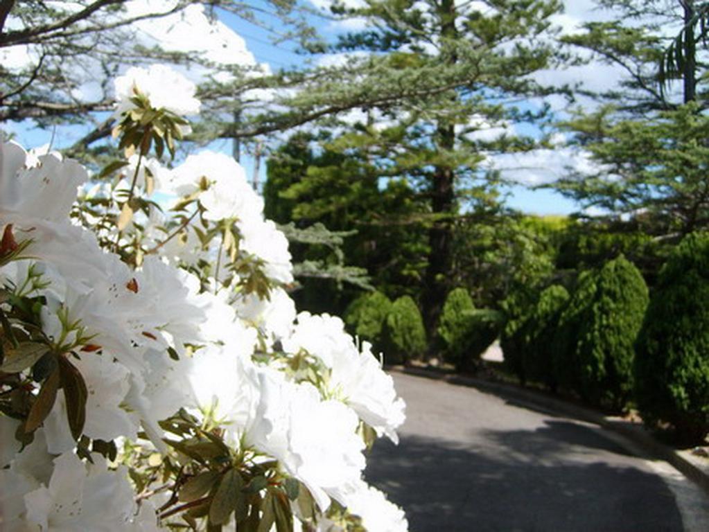 Tantarra Guest House - Pet Friendly Warners Bay Exterior photo